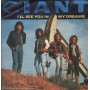 Giant Vinile 7" 45 giri I'll See You In My Dreams / Stranger To M / 3905007 Nuovo