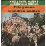 Unknown Artist Vinile 7" 45 giri Filugnara / L'Andria - Andira / Signal ‎– S44 Nuovo