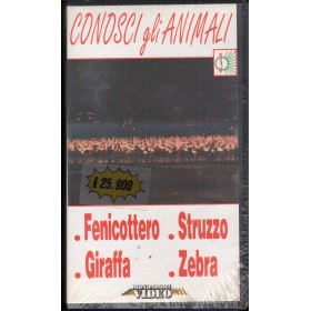 Conosci Gli Animali VHS Fausto Sassi / 8009068080568 Sigillato