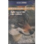 Sulle Tracce Del Lupo Italiano VHS Marco Visalberghi Univideo - VRI5026 Sigillato