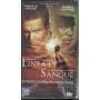 Linea Di Sangue VHS Jeb Stuart Univideo - CK20462 Sigillato