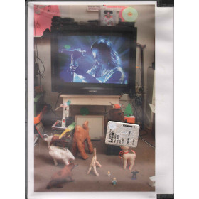 Bjork (Björk) DVD Cambridge / Polydor ‎589 7299 Sigillato 0731458972990