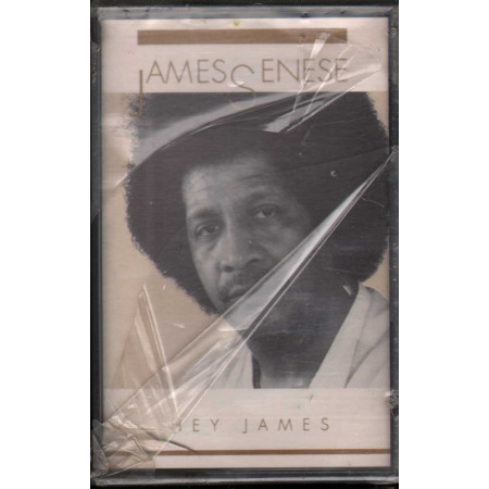 James Senese MC7 Hey James / Blue Angel ‎‎Sigillata ‎8012432200011