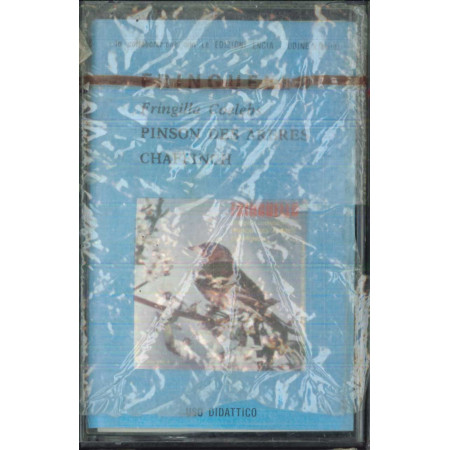 Domenico Cacioppo MC7 La Nunziatella Di / Vigiesse - MC i 01 Sigillata