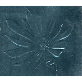 Pet Shop Boys CD Release Limited Ed EMI Parlophone Blue Daisy Slipcase Sigillato