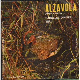 Artist Vinile 7" 45 giri Alzavola, Anas Crecca / Encia – EdaSP014 Nuovo
