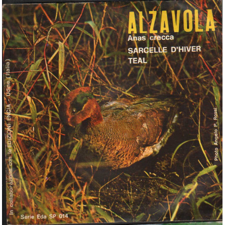 Artist Vinile 7" 45 giri Alzavola, Anas Crecca / Encia – EdaSP014 Nuovo